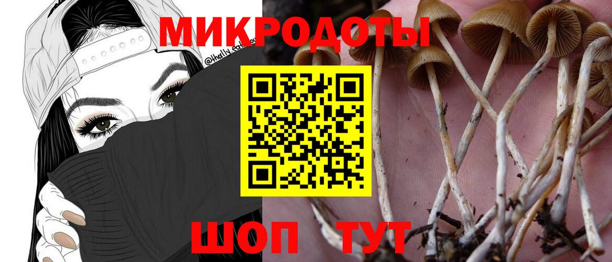 Вышний Волочёк  Галлюциногенные грибы прущие грибы  наркошоп  Псилоцибиновые грибы Magic Shrooms  Вход с VPN 